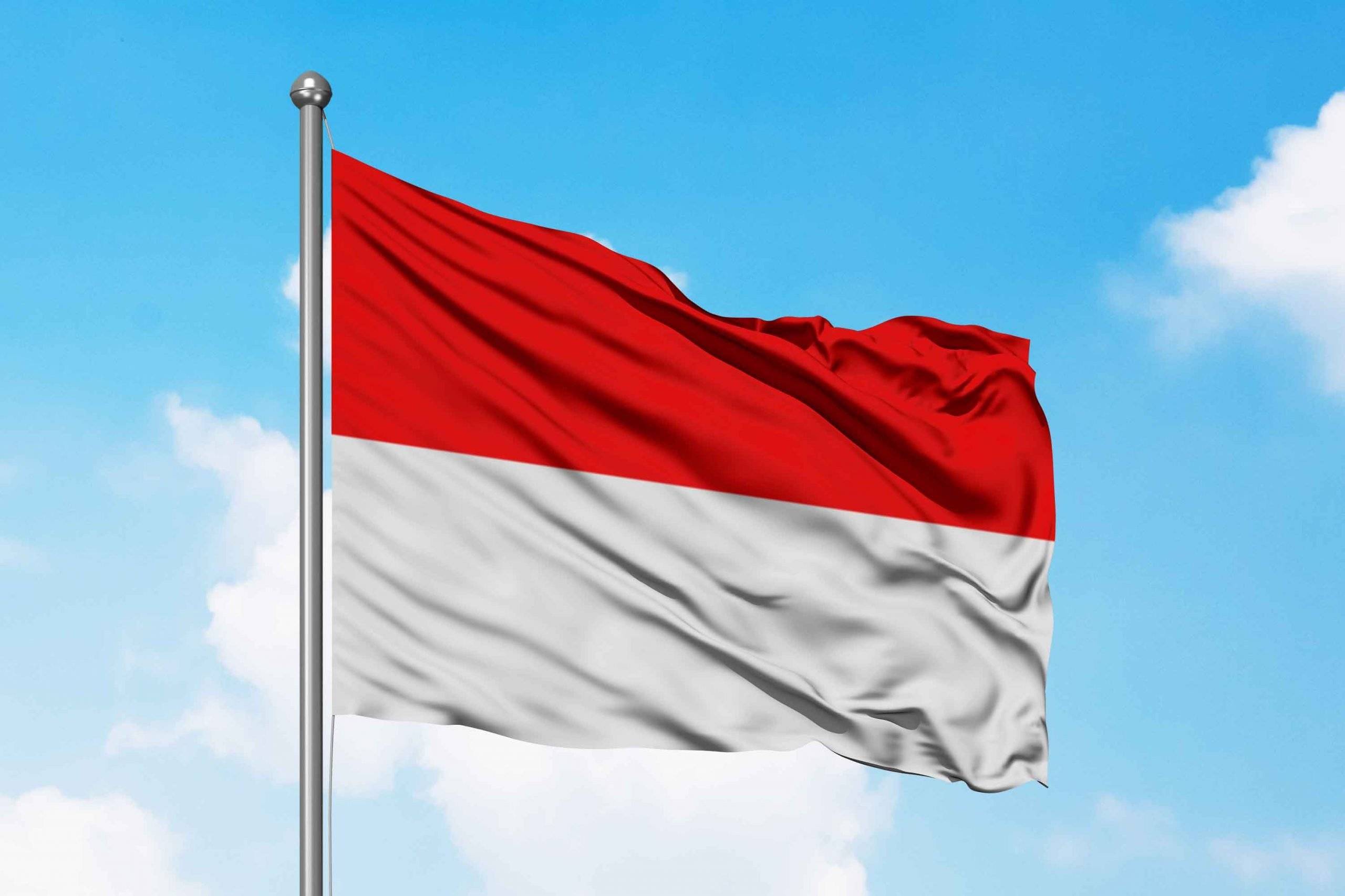 Istana Larang Menghadirkan Gambar Jokowi Saat HUT RI